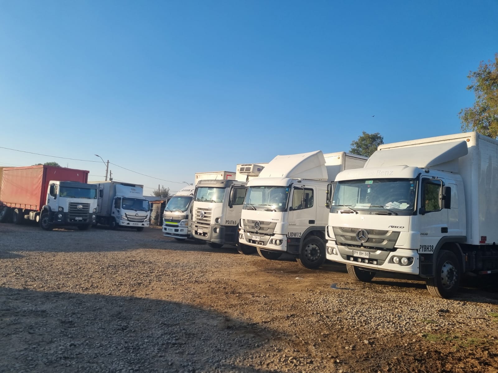 SOCIEDAD DE TRANSPORTES ORTEGA LIMITADA