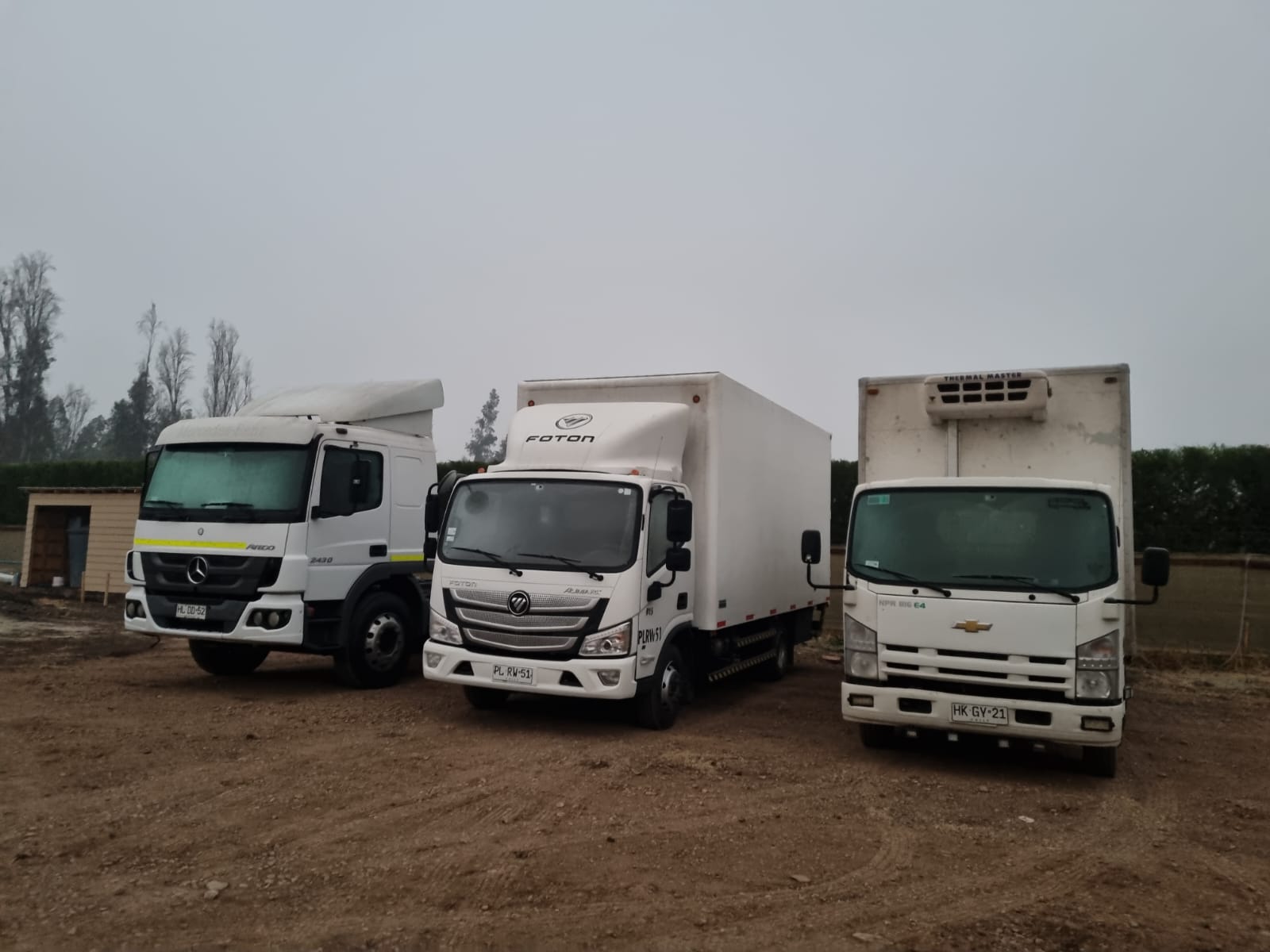 SOCIEDAD DE TRANSPORTES ORTEGA LIMITADA