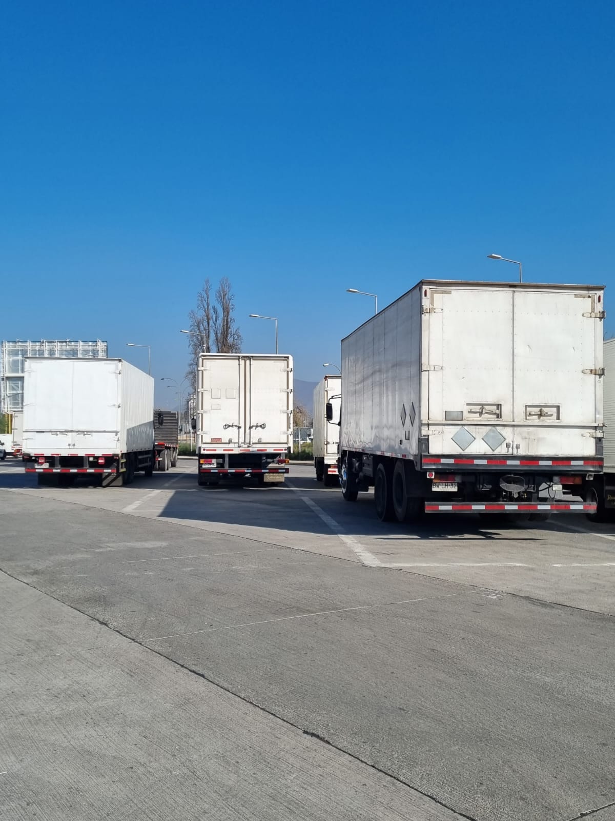 SOCIEDAD DE TRANSPORTES ORTEGA LIMITADA