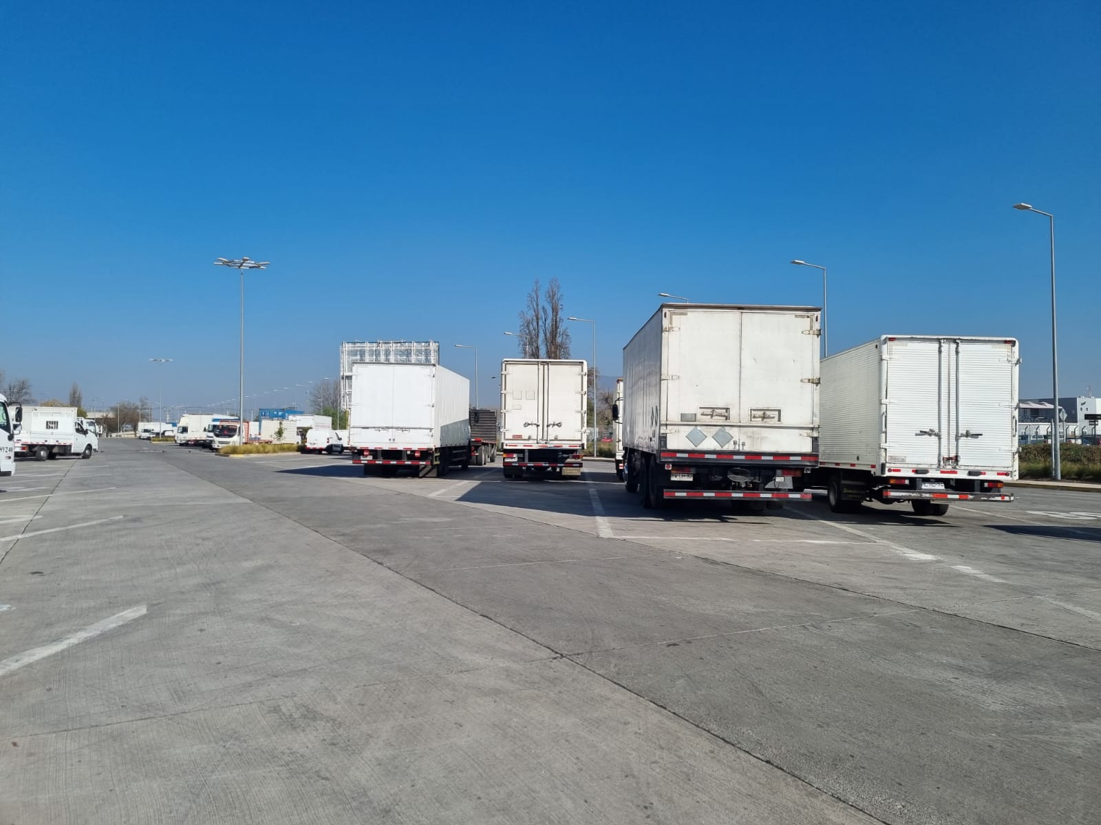 SOCIEDAD DE TRANSPORTES ORTEGA LIMITADA