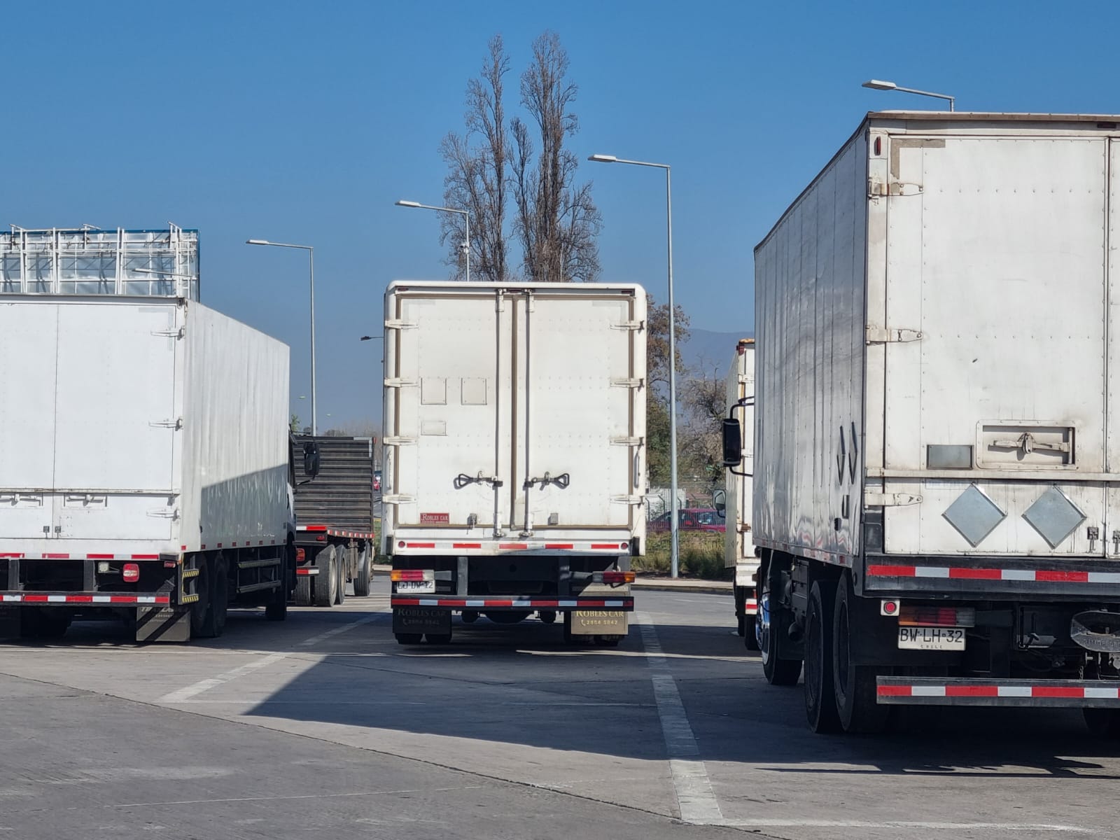 SOCIEDAD DE TRANSPORTES ORTEGA LIMITADA