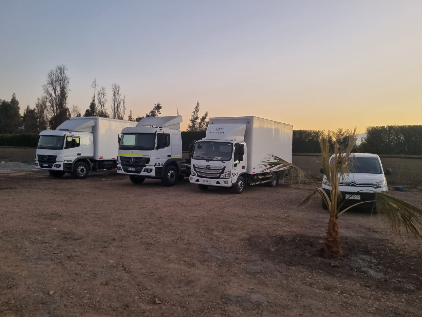 SOCIEDAD DE TRANSPORTES ORTEGA LIMITADA