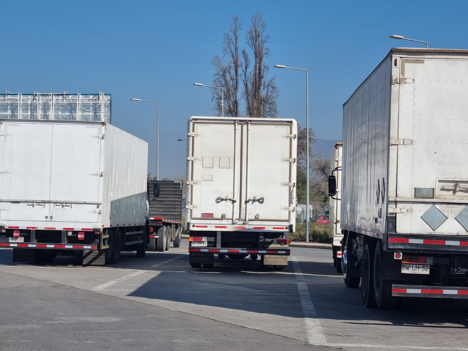 SOCIEDAD DE TRANSPORTES ORTEGA LIMITADA
