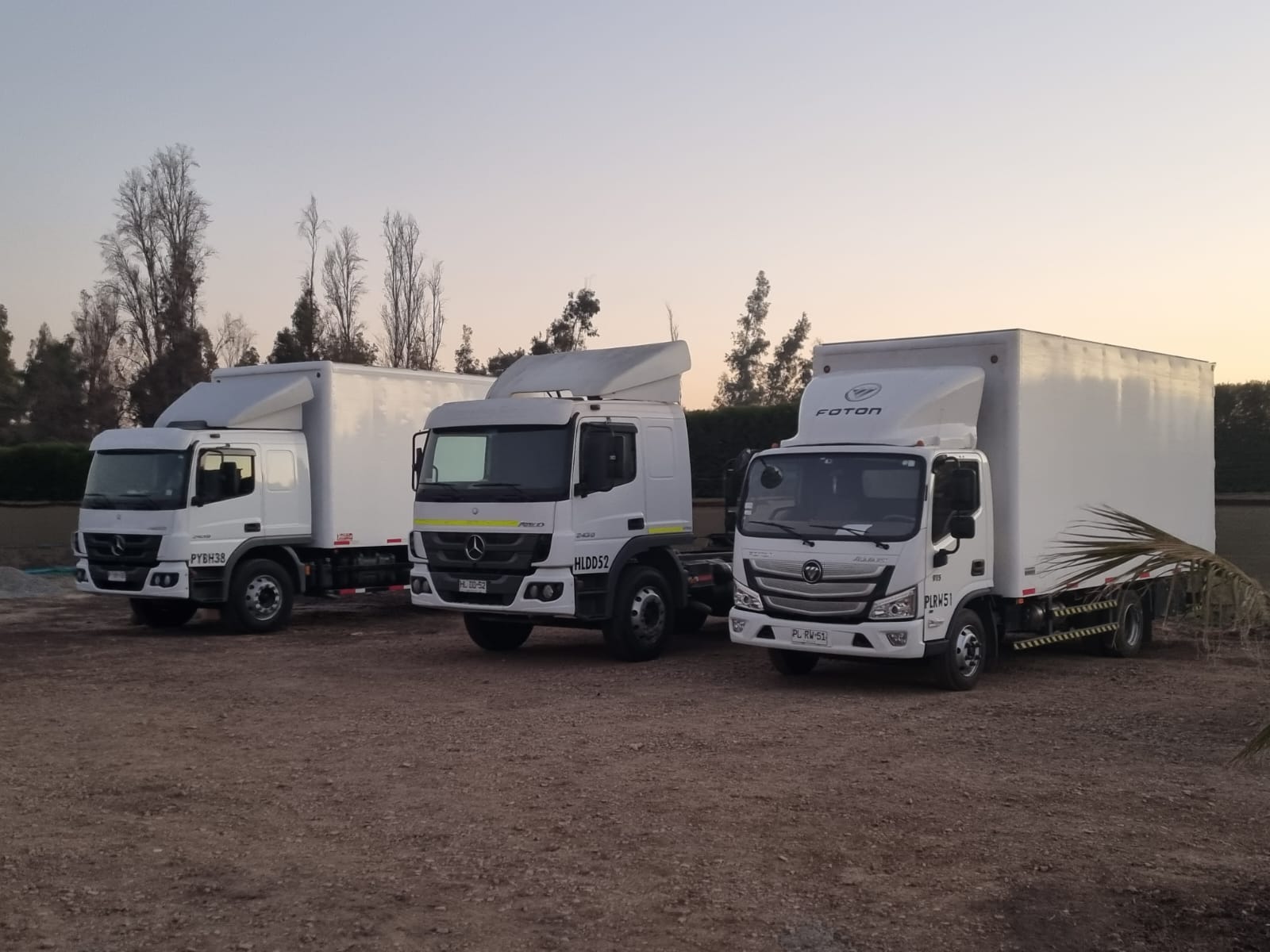 SOCIEDAD DE TRANSPORTES ORTEGA LIMITADA